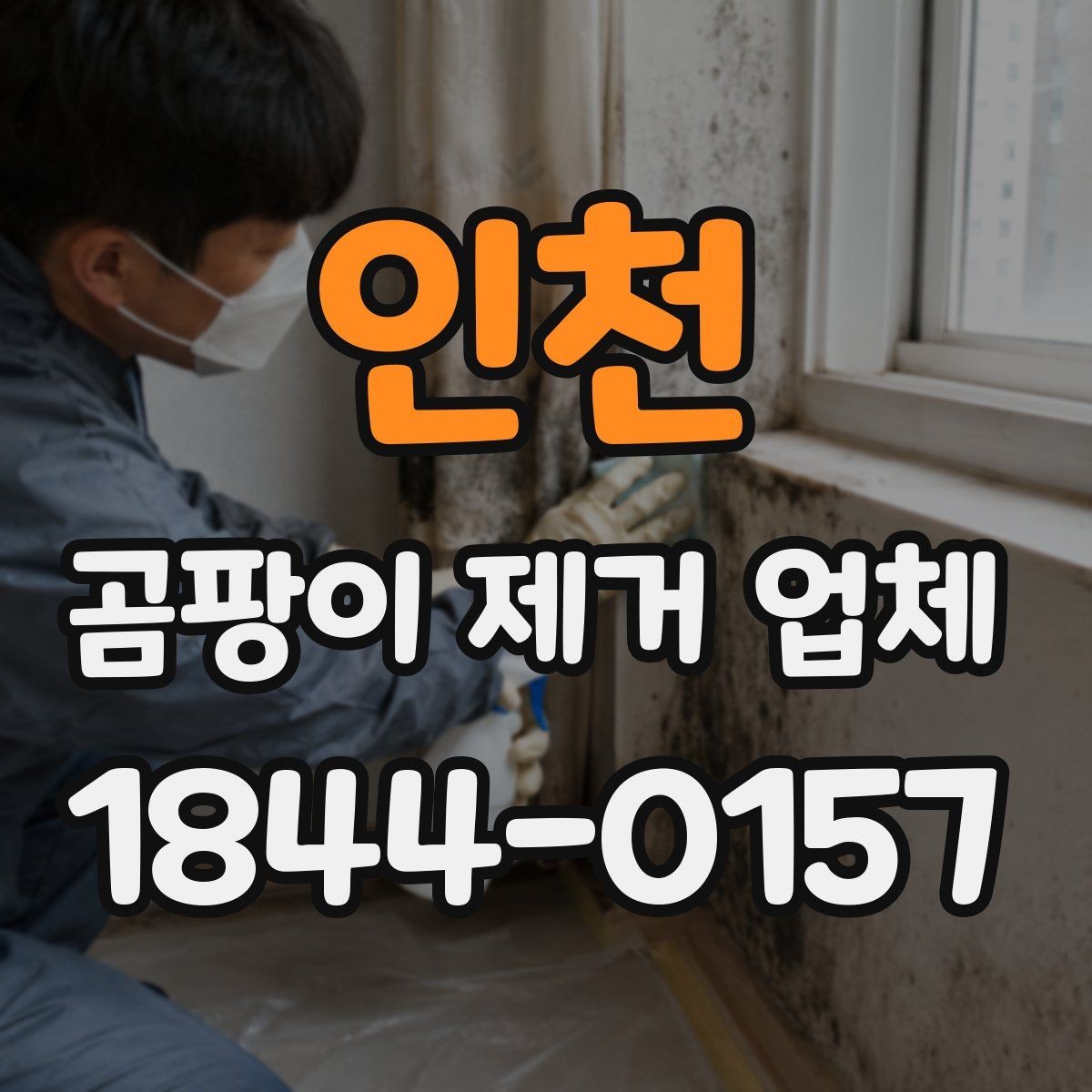 인천 곰팡이 제거 업체 아이와 반려동물 있는 집에서 확인할 점