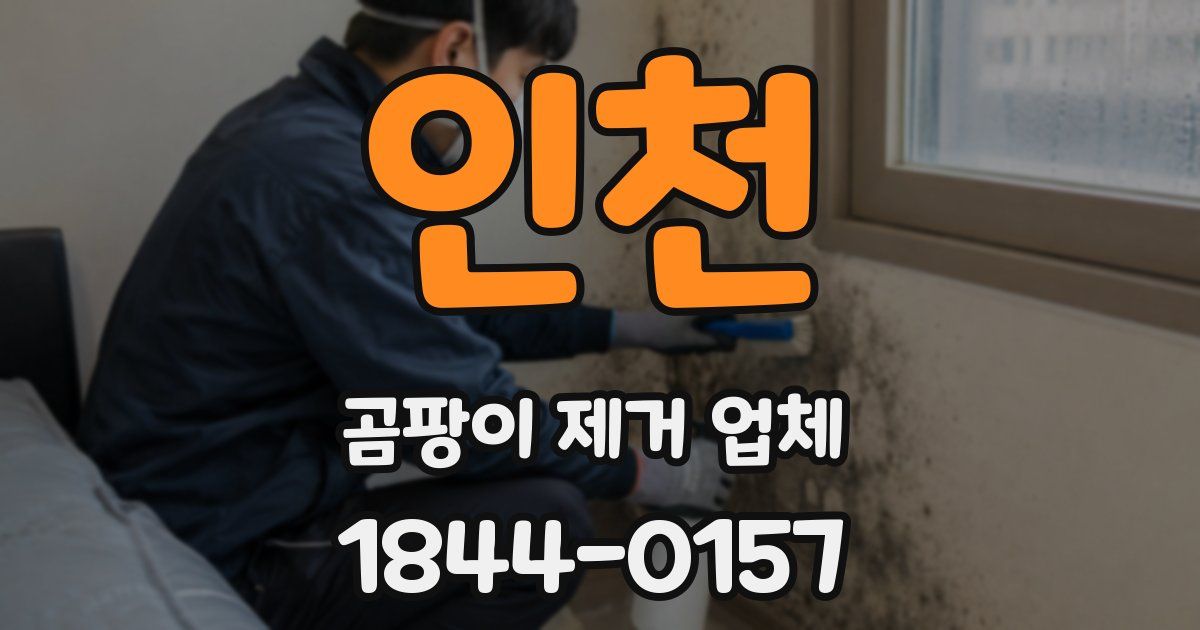 인천 곰팡이 제거 업체