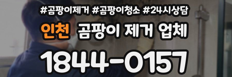 인천 곰팡이 제거 업체