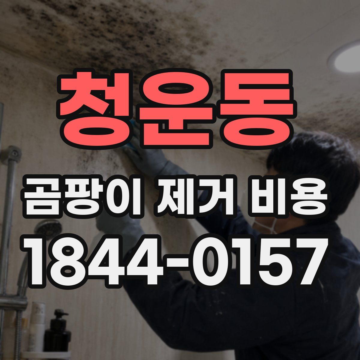 청운동 곰팡이 제거 비용