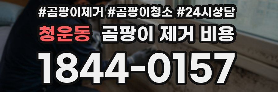 청운동 곰팡이 제거 비용