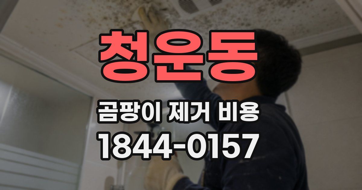청운동 곰팡이 제거 비용