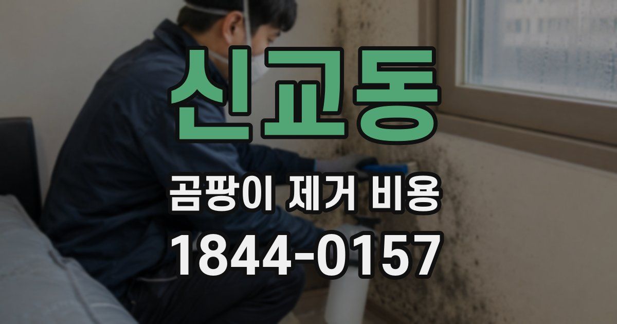 신교동 곰팡이 제거 비용