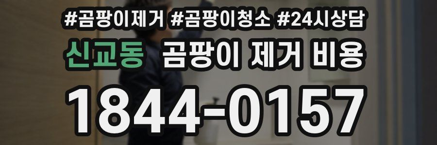 신교동 곰팡이 제거 비용