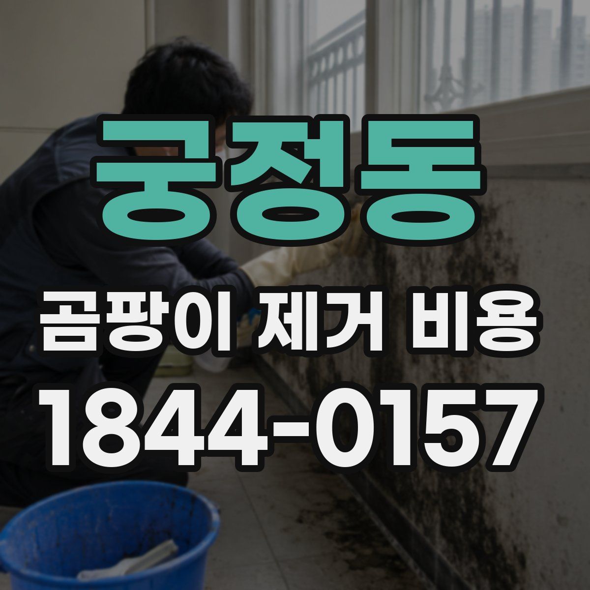 궁정동 곰팡이 제거 비용