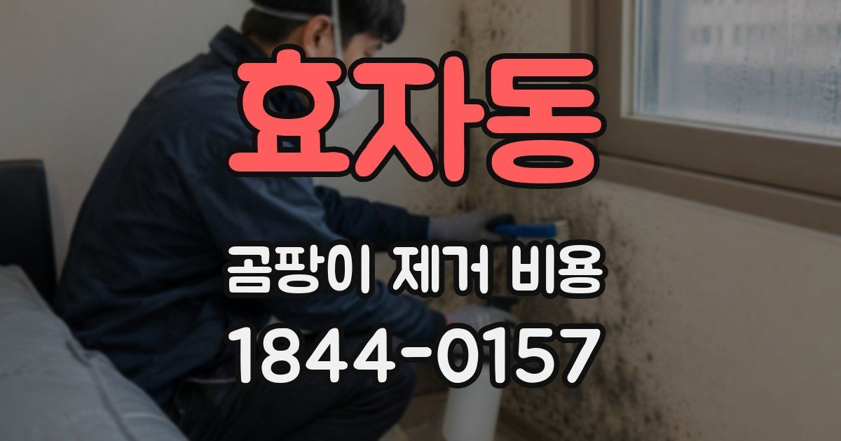 효자동 곰팡이 제거 비용