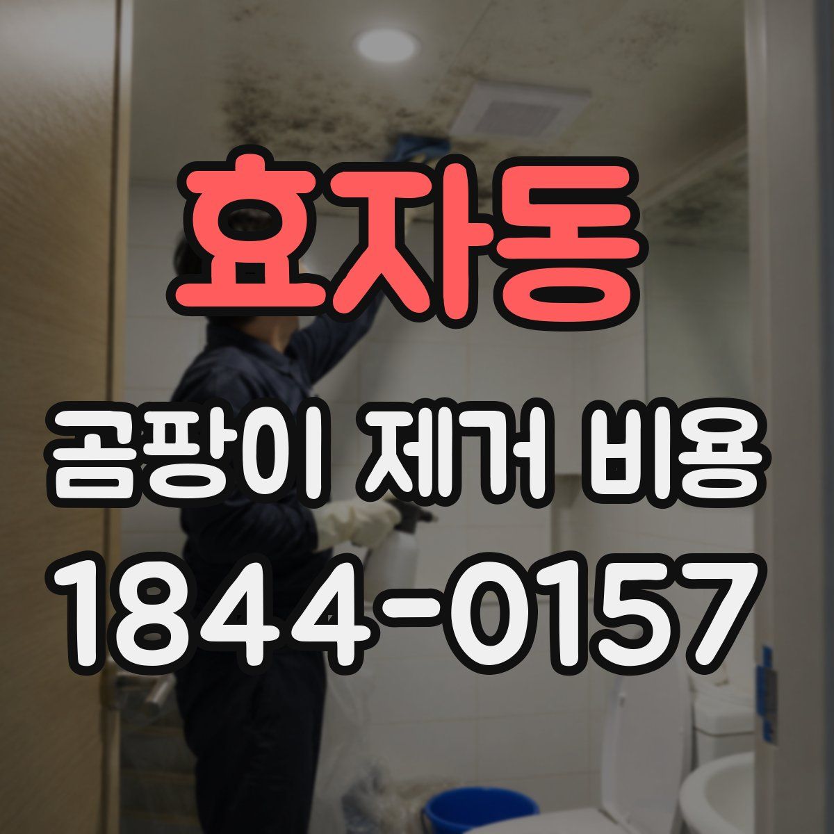 효자동 곰팡이 제거 비용