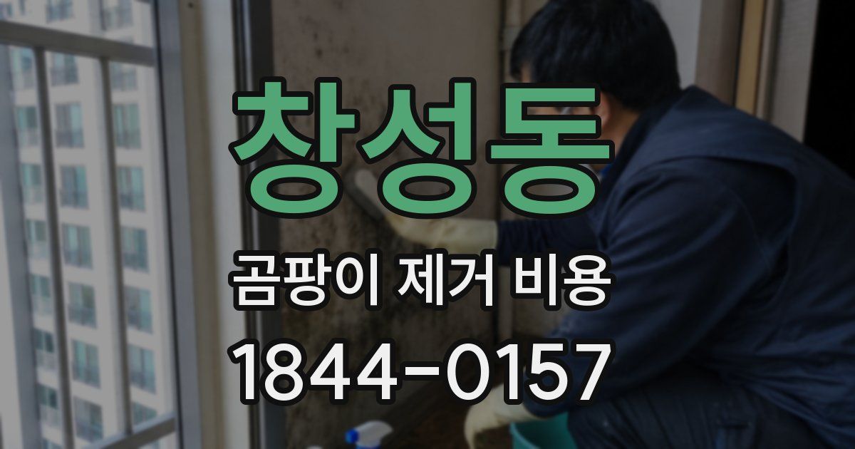 창성동 곰팡이 제거 비용