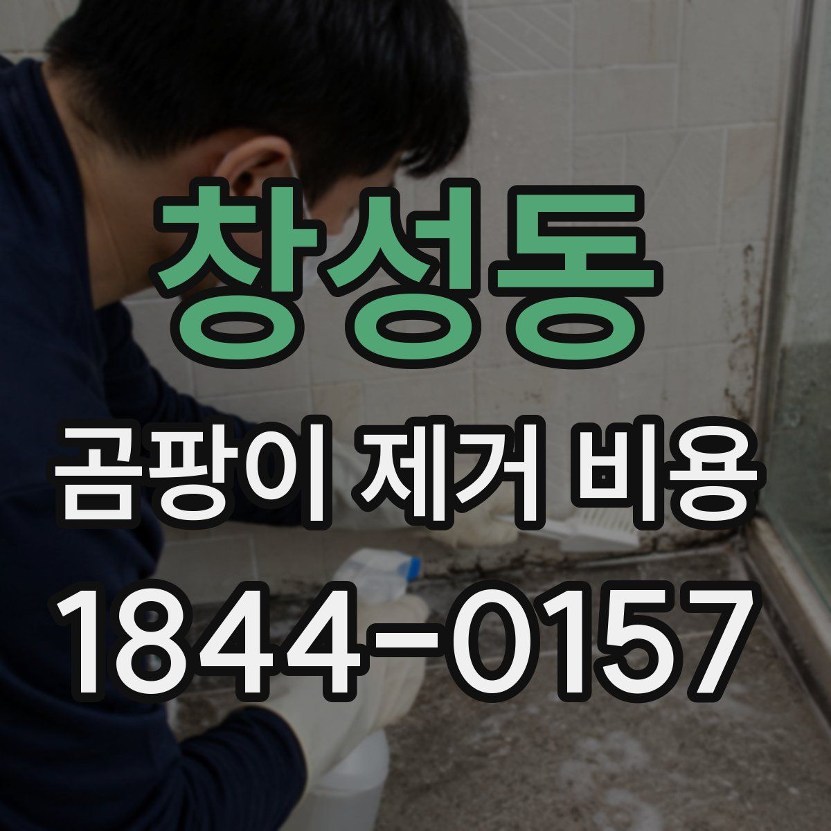 창성동 곰팡이 제거 비용