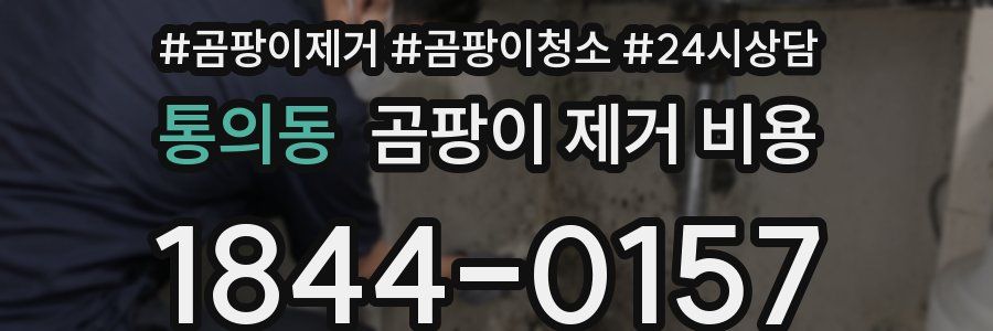 통의동 곰팡이 제거 비용