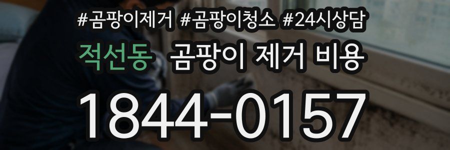 적선동 곰팡이 제거 비용