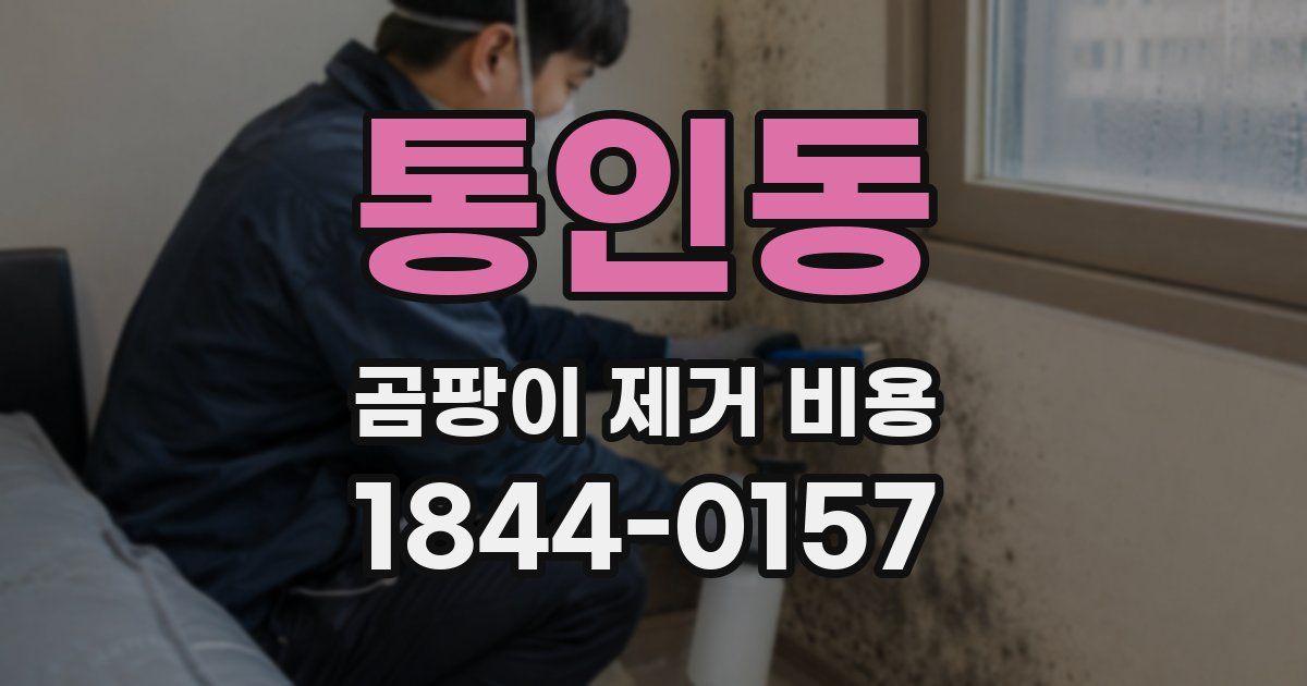 통인동 곰팡이 제거 비용