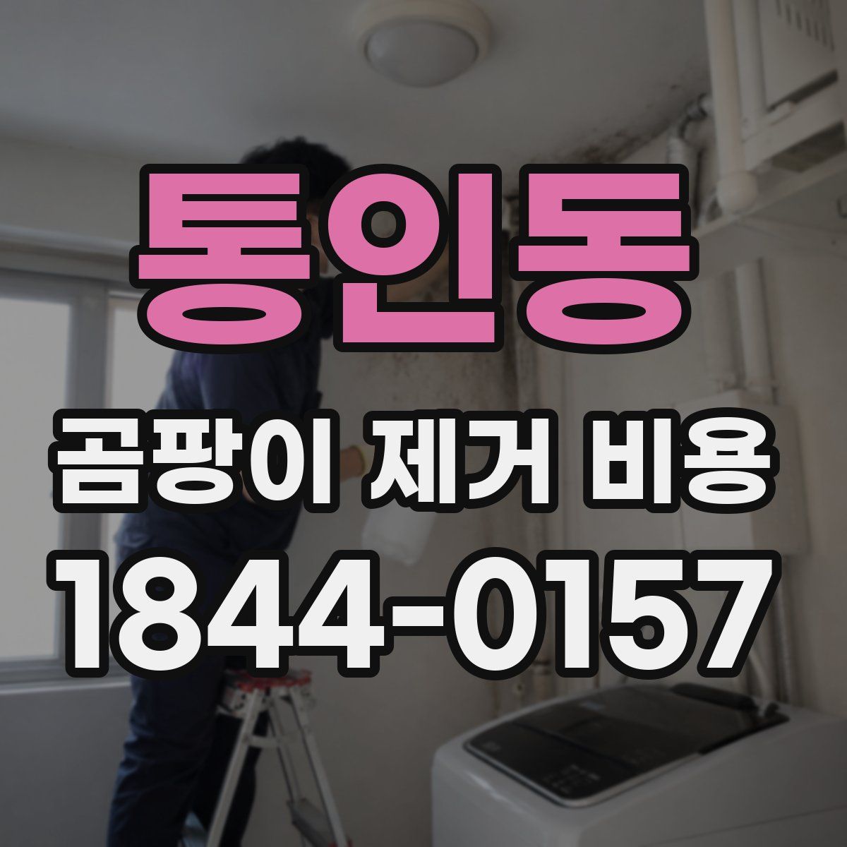 통인동 곰팡이 제거 비용