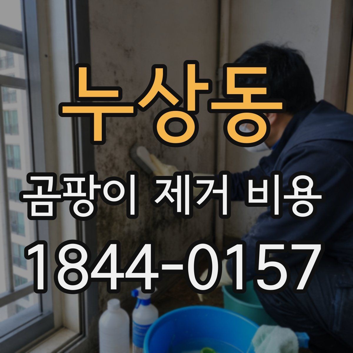 누상동 곰팡이 제거 비용 누수 원인 수리와 함께 볼 때의 차이
