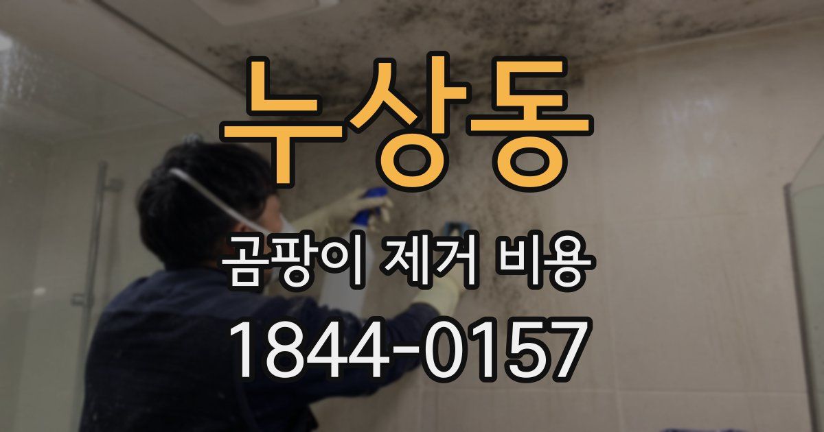 누상동 곰팡이 제거 비용