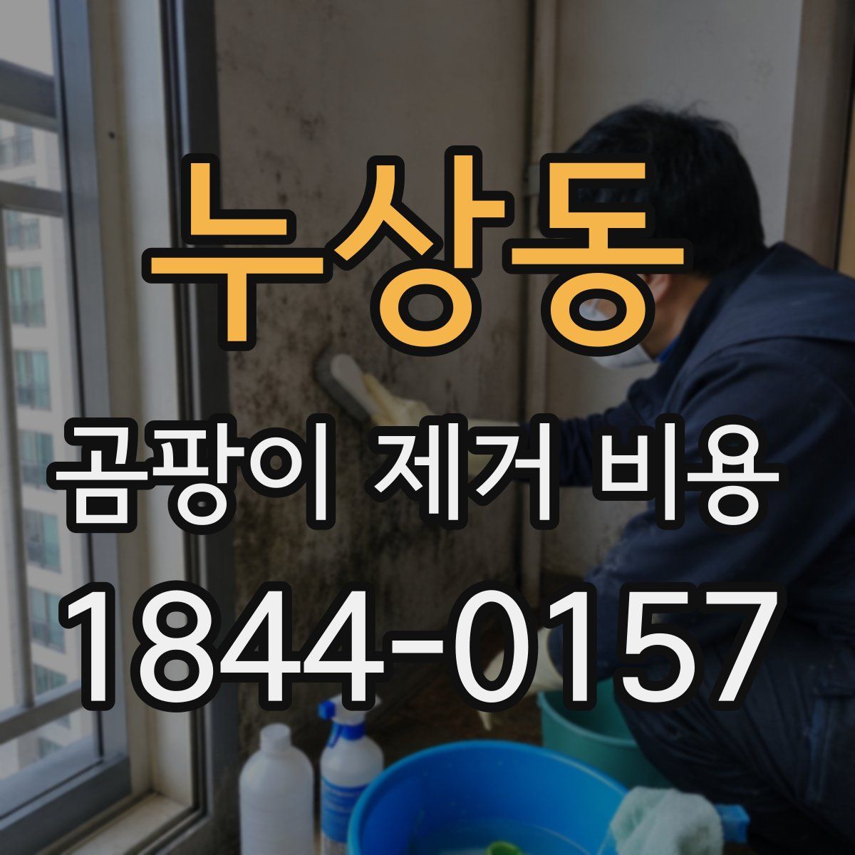 누상동 곰팡이 제거 비용