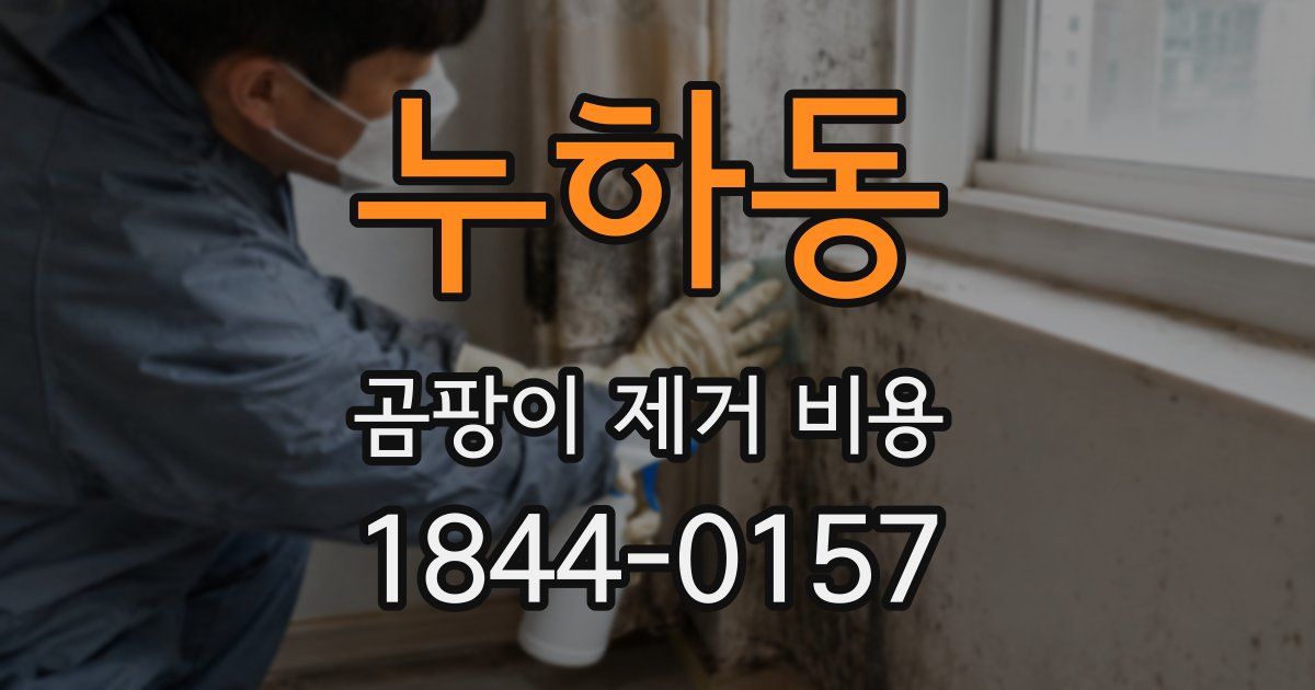 누하동 곰팡이 제거 비용