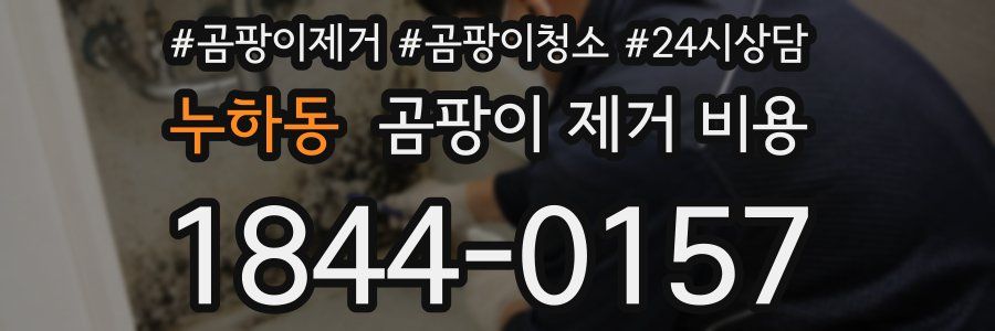 누하동 곰팡이 제거 비용