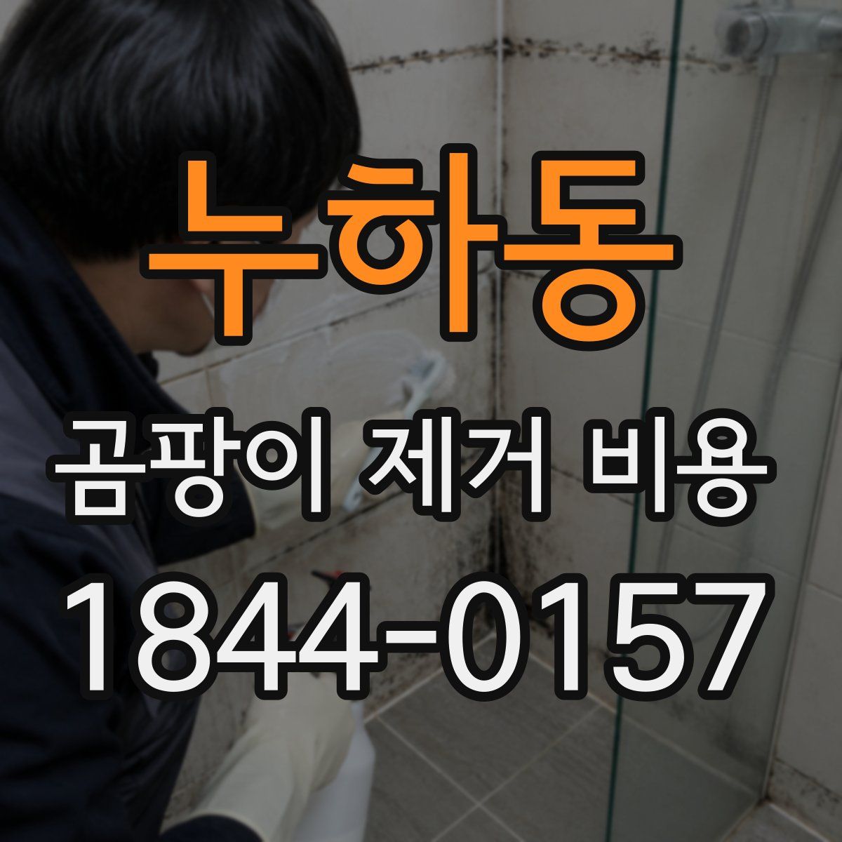 누하동 곰팡이 제거 비용