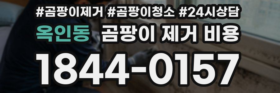 옥인동 곰팡이 제거 비용