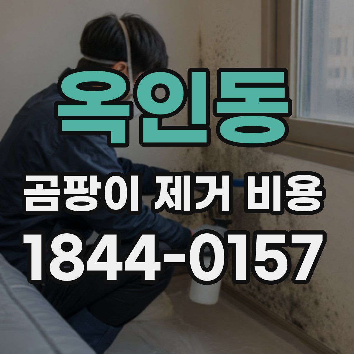 옥인동 곰팡이 제거 비용
