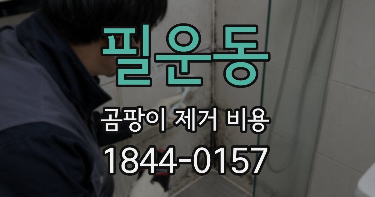 필운동 곰팡이 제거 비용