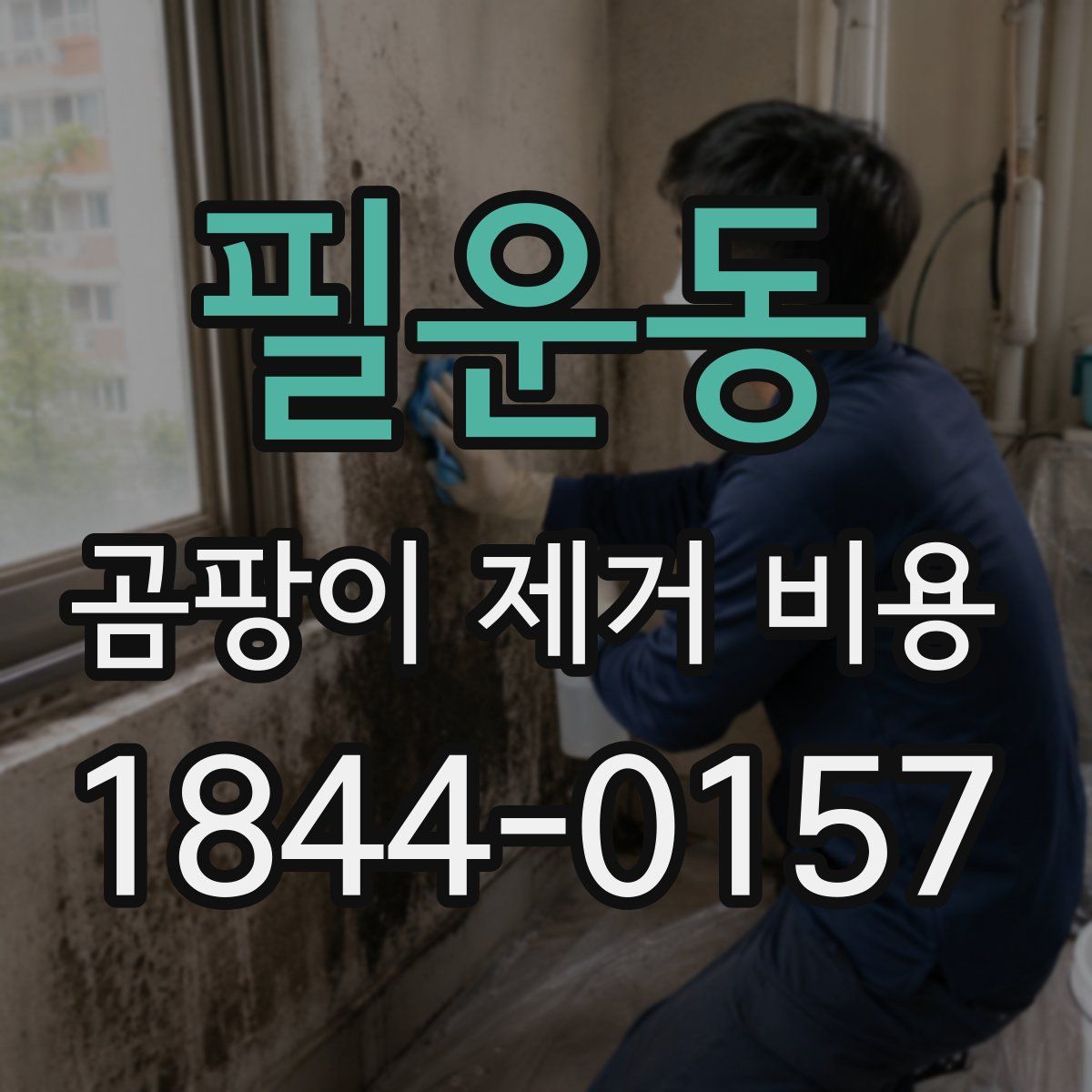 필운동 곰팡이 제거 비용