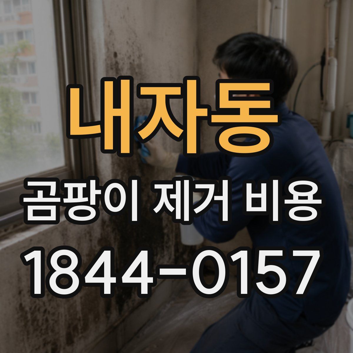 내자동 곰팡이 제거 비용