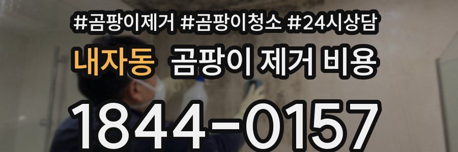 내자동 곰팡이 제거 비용