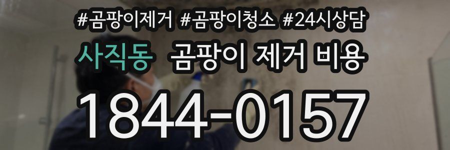 사직동 곰팡이 제거 비용