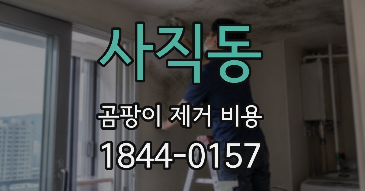 사직동 곰팡이 제거 비용