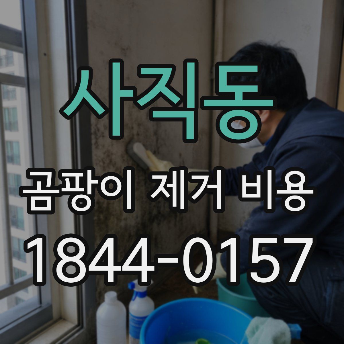 사직동 곰팡이 제거 비용