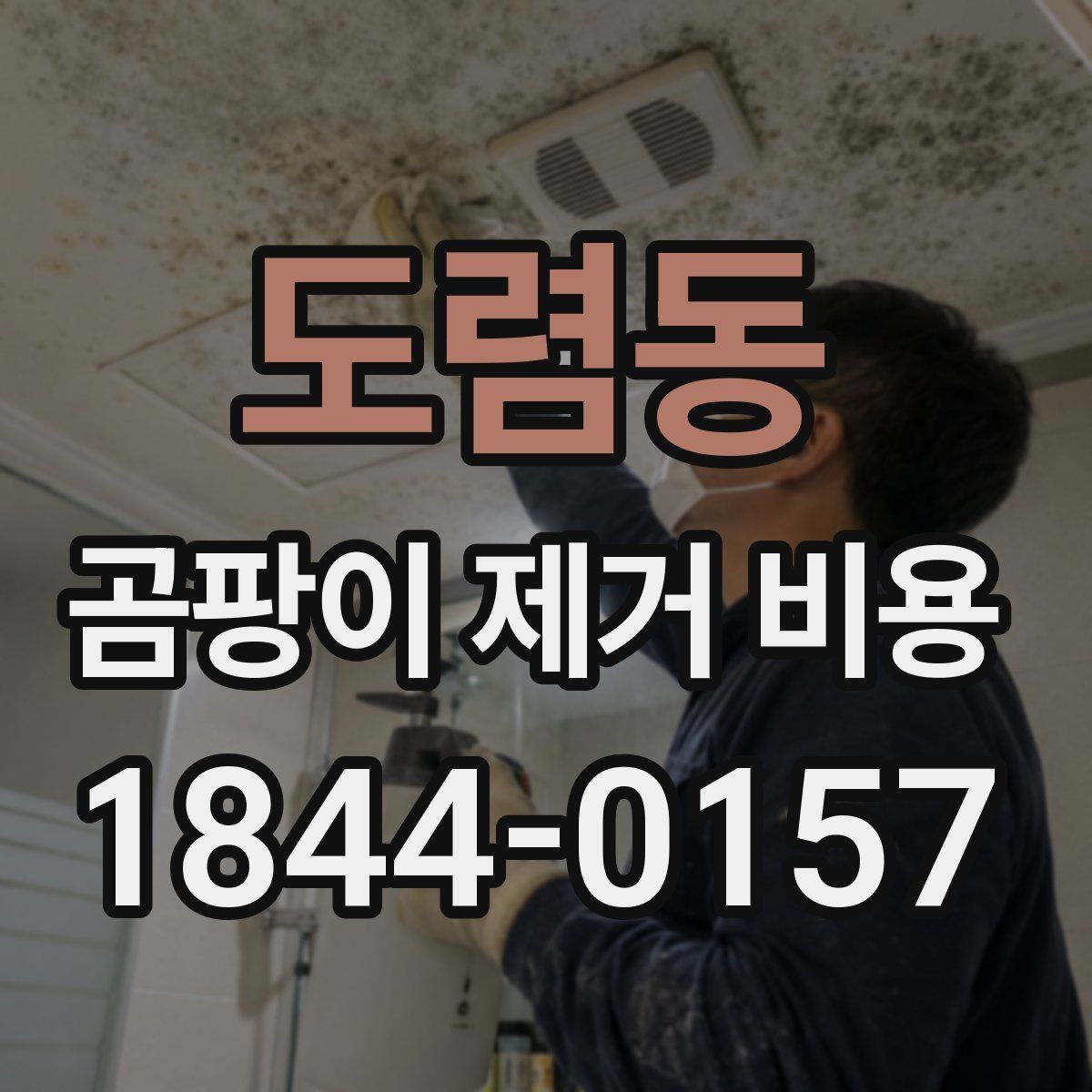 도렴동 곰팡이 제거 비용