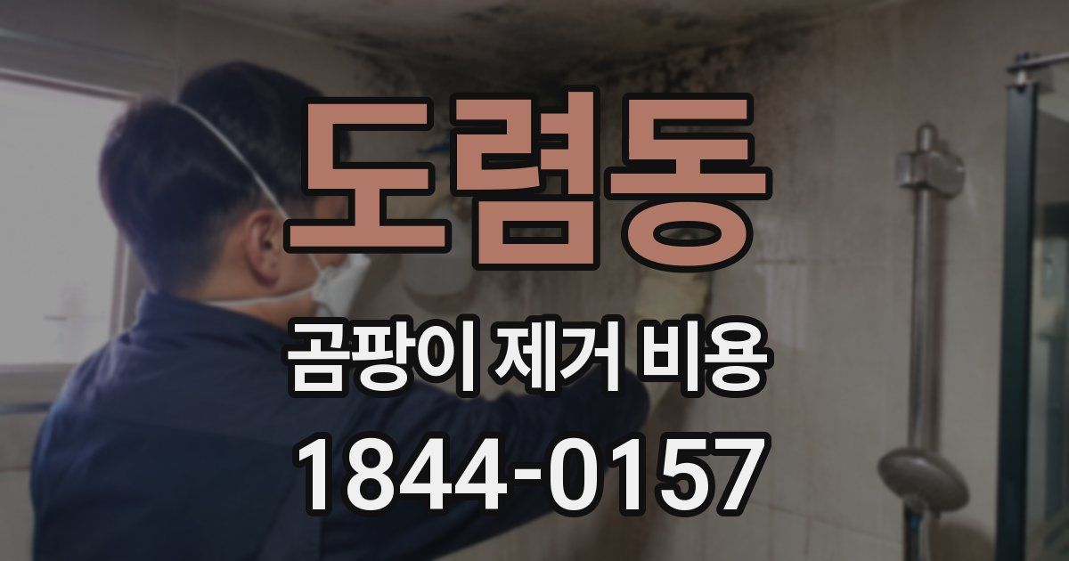 도렴동 곰팡이 제거 비용