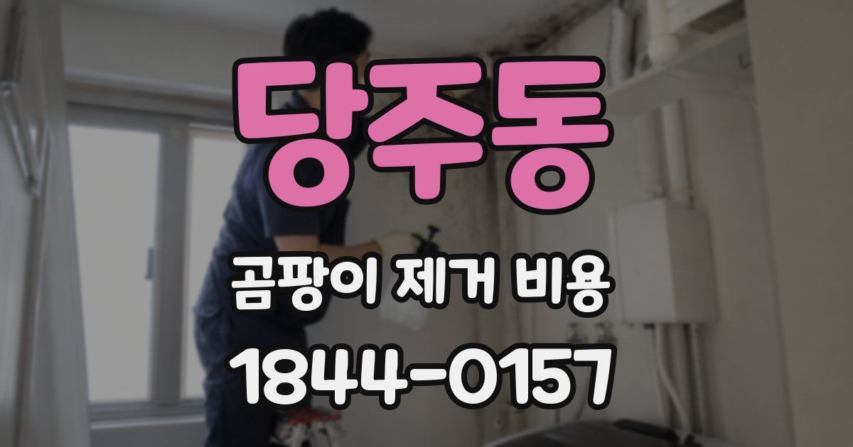 당주동 곰팡이 제거 비용