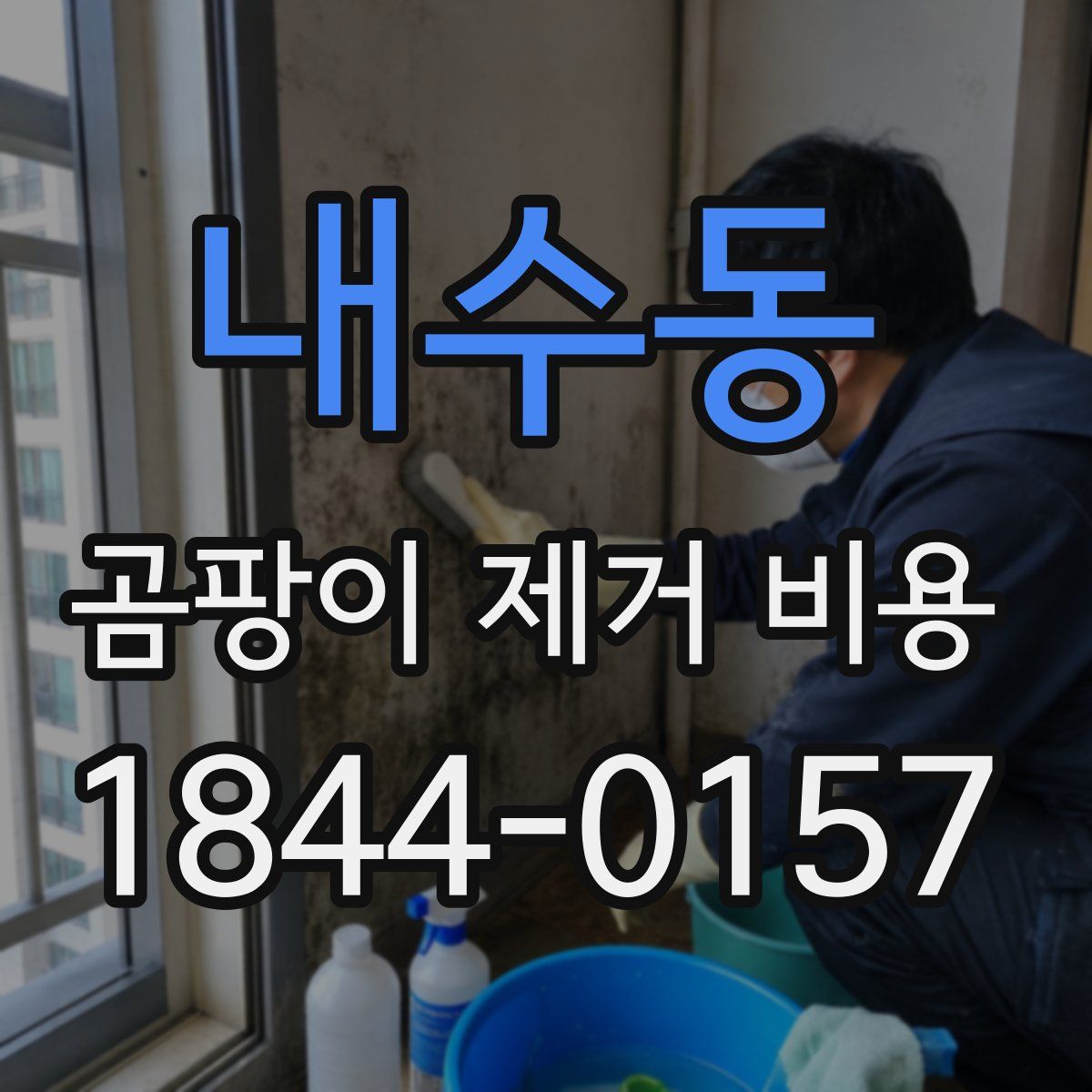 내수동 곰팡이 제거 비용