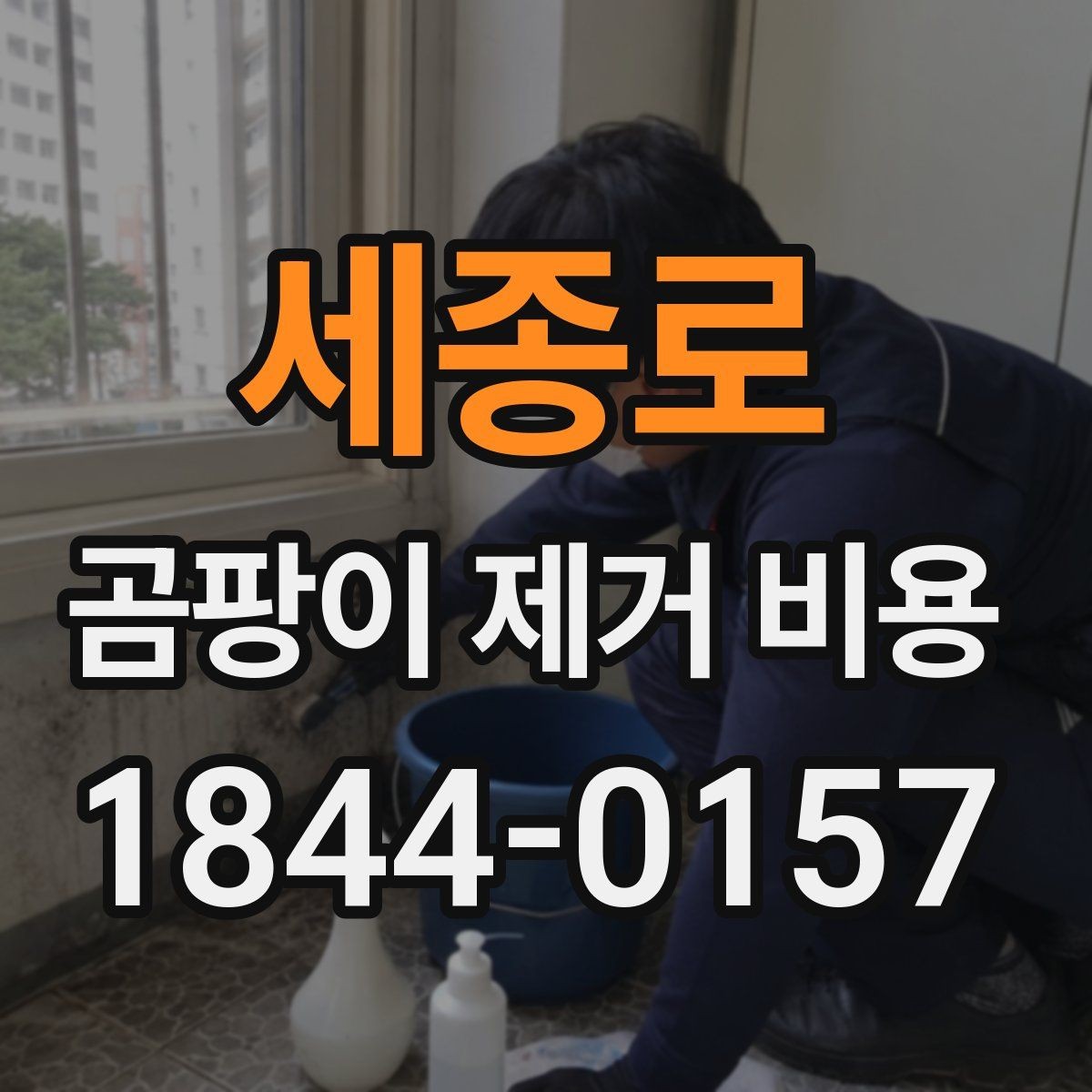 세종로 곰팡이 제거 비용 부분 시공으로 줄일 수 있는 오염 유형