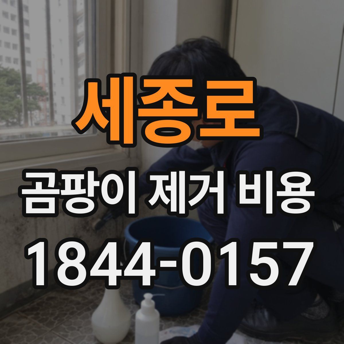 세종로 곰팡이 제거 비용