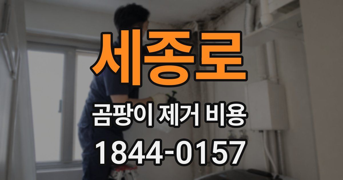세종로 곰팡이 제거 비용