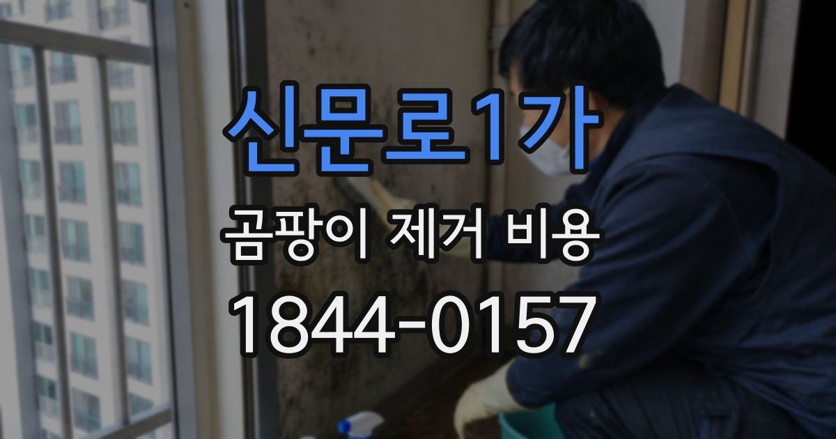 신문로1가 곰팡이 제거 비용