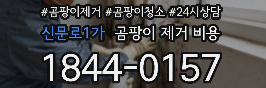 신문로1가 곰팡이 제거 비용
