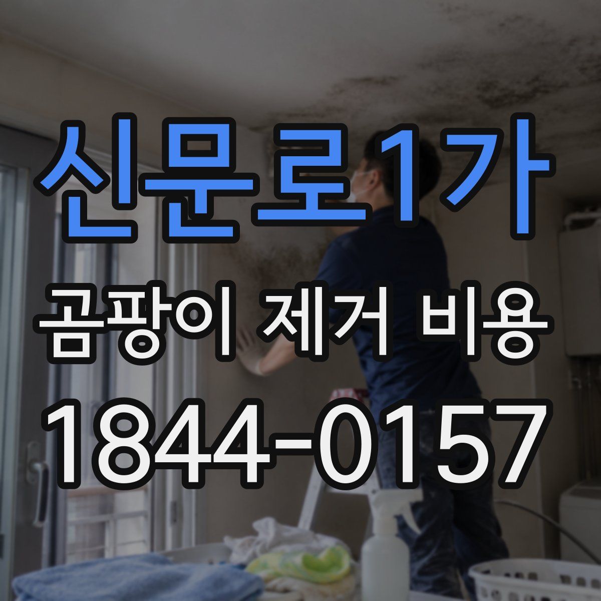 신문로1가 곰팡이 제거 비용