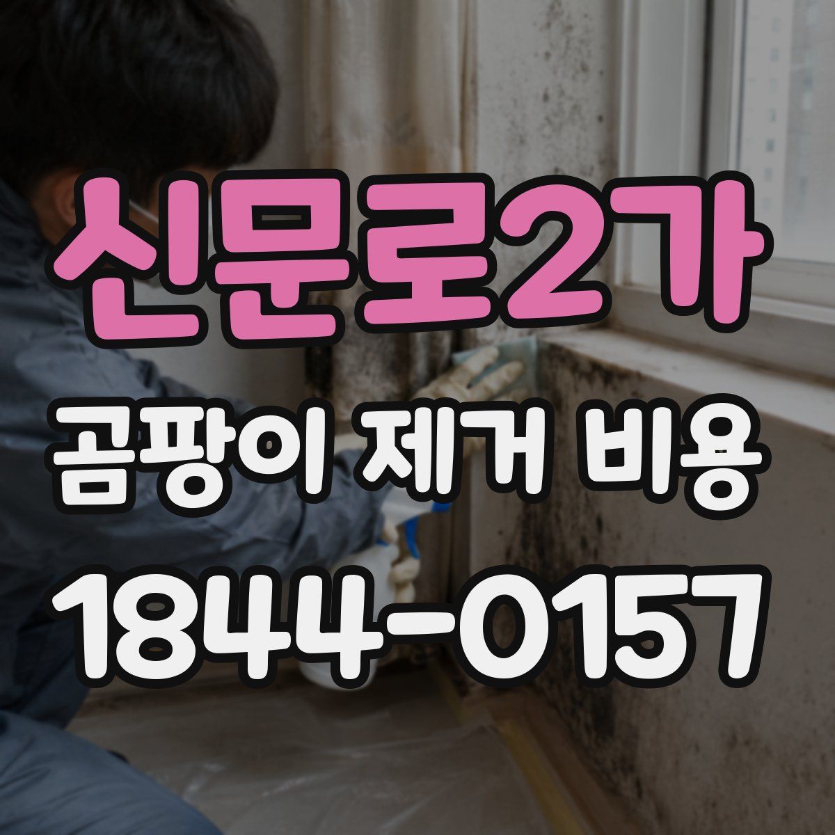 신문로2가 곰팡이 제거 비용