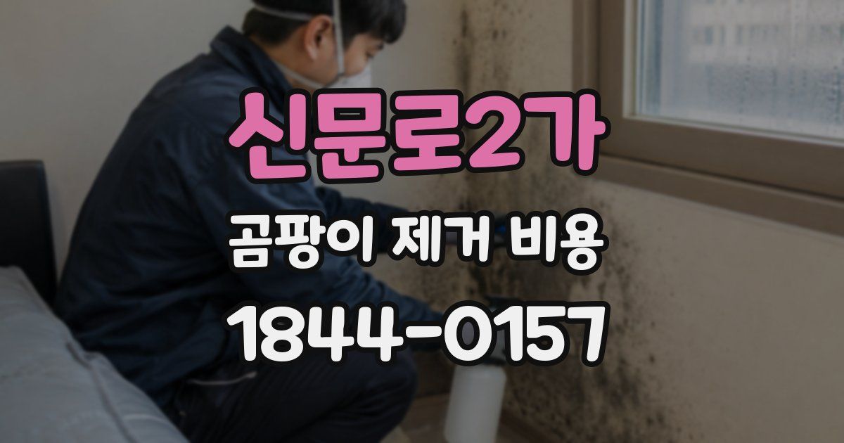 신문로2가 곰팡이 제거 비용