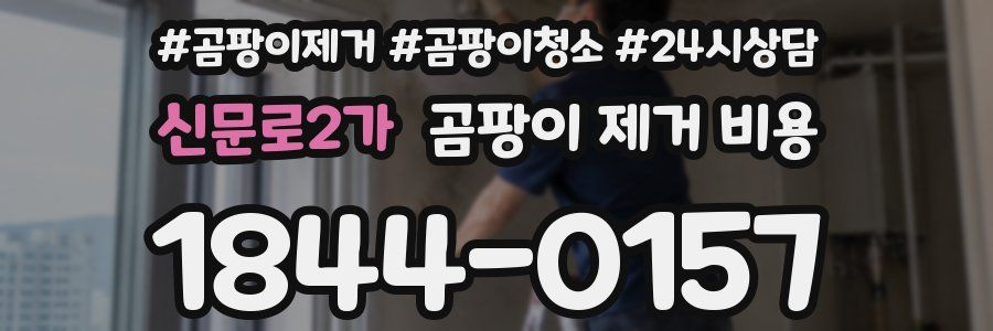 신문로2가 곰팡이 제거 비용