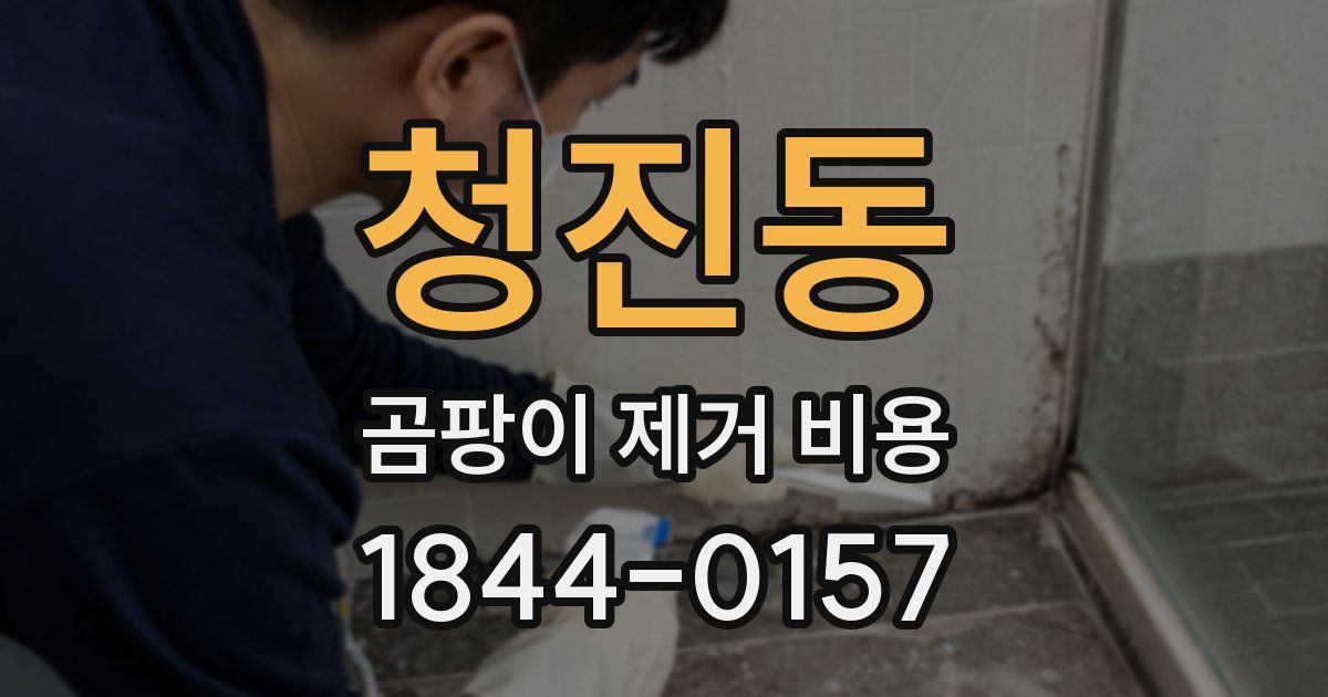 청진동 곰팡이 제거 비용