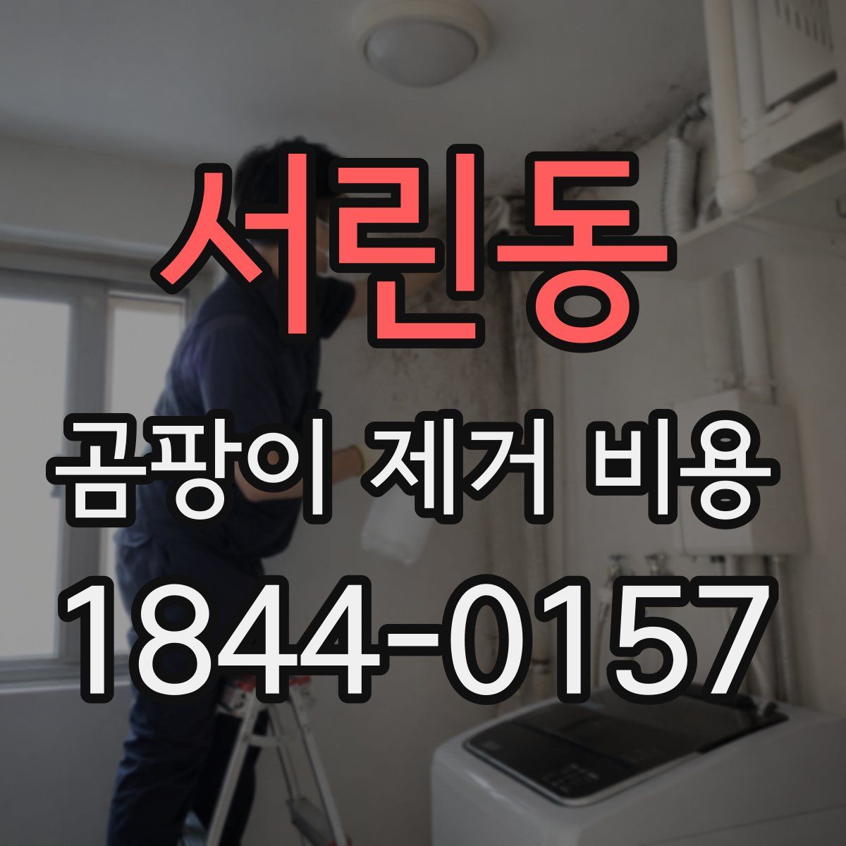 서린동 곰팡이 제거 비용