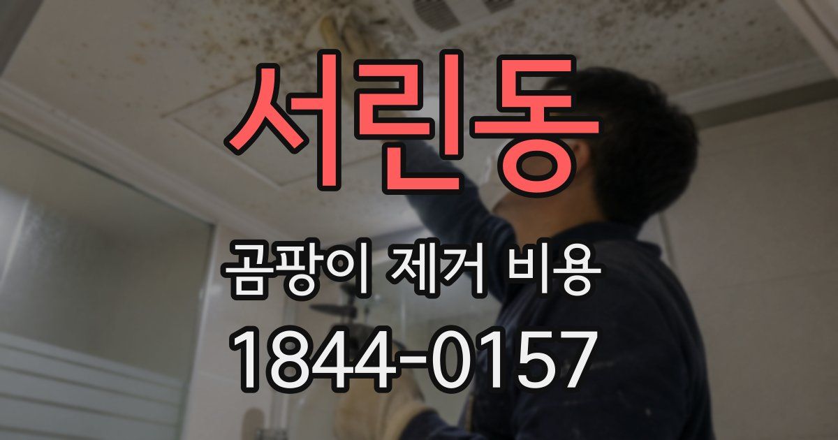 서린동 곰팡이 제거 비용
