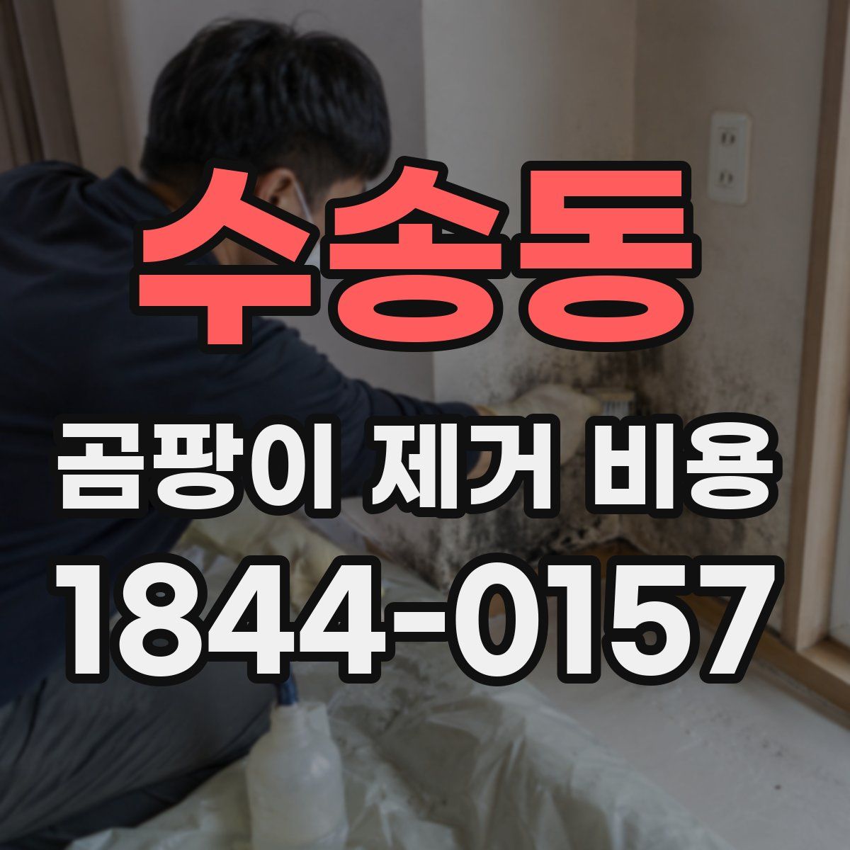 수송동 곰팡이 제거 비용