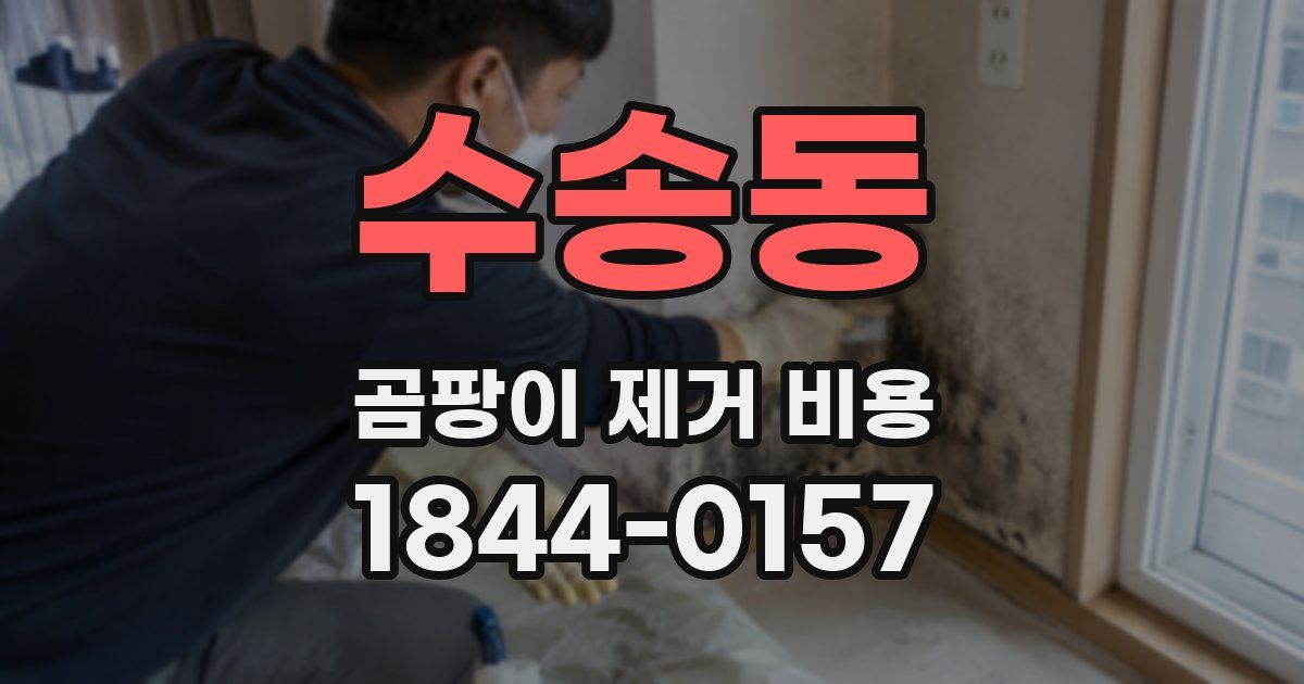수송동 곰팡이 제거 비용